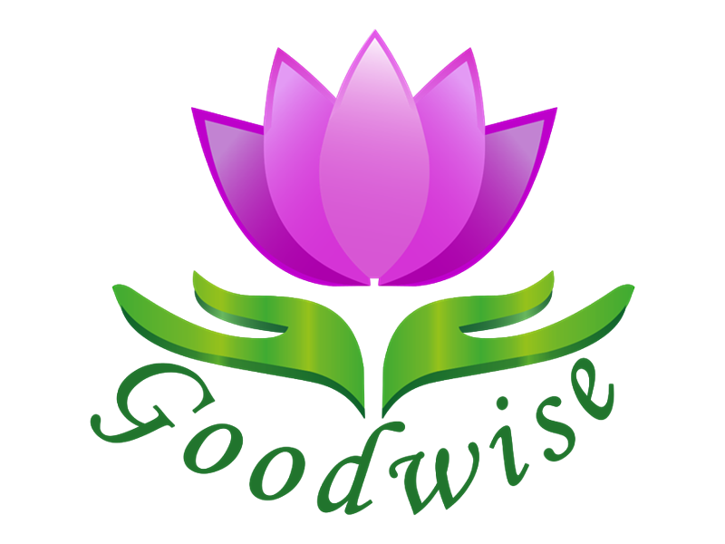 Goodwise Management Ltd.